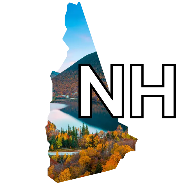 New Hampshire Governor winner?