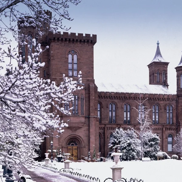 Will Trump take federal action against the Smithsonian? prediction market